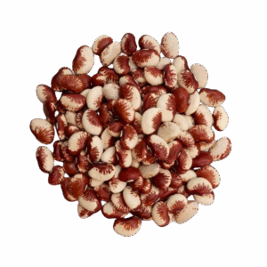 Fava Raio de Sol 1kg